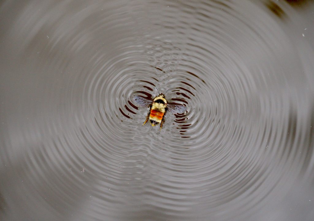 mike-lewinski-hh7UrZGZAF8-unsplash - Solfeggio Frequencies